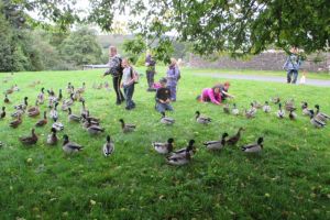 Week 3: Bell Bank - Caldbeck 