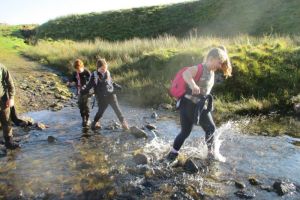 Week 5: Burblethwaite - Peter House Farm 